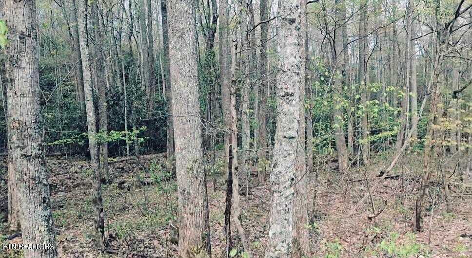 4046 Forest Trail Dr Sevierville, TN 37876 - Thumbnail 5