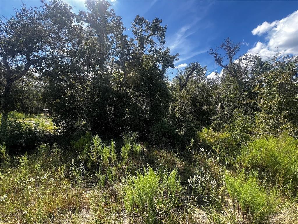 0 Crider Rd LOT 14 Brooksville, FL 34614 - Thumbnail 5