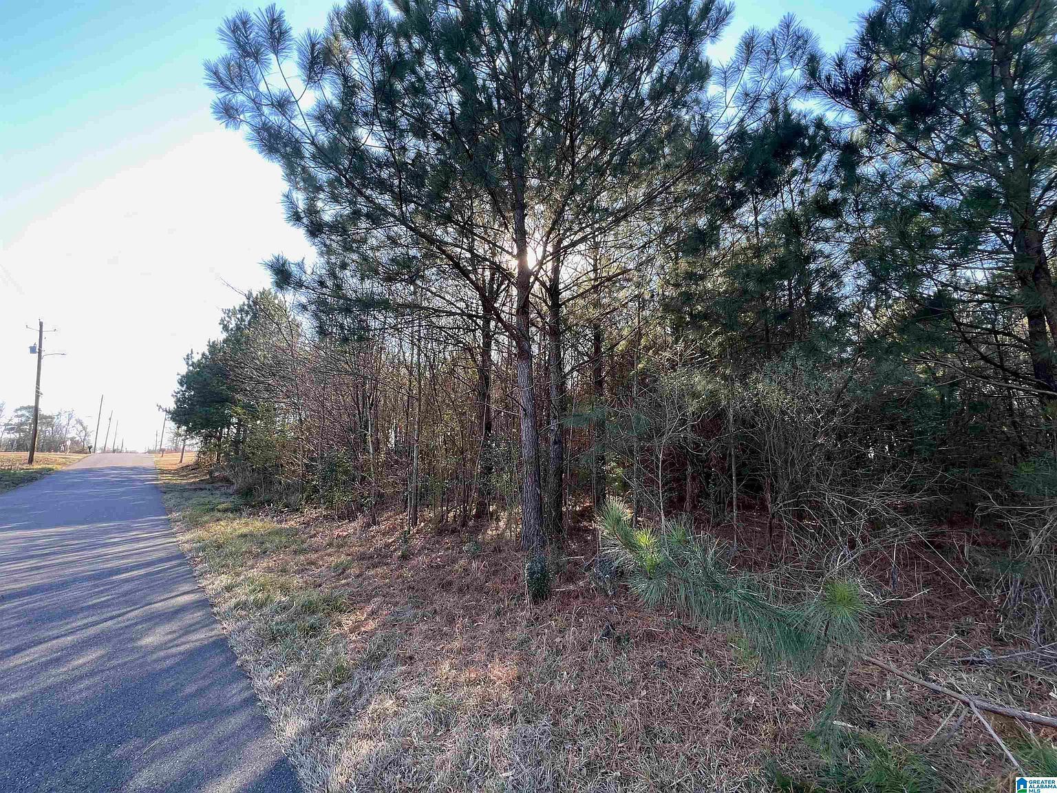 832 11th Ave Pleasant Grove, AL 35127 - Thumbnail 5