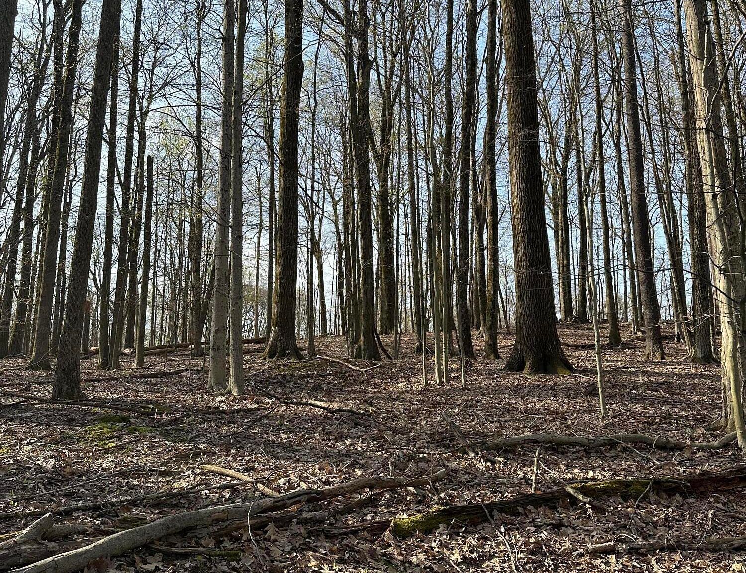 Galloway Rd LOT 249 Du Bois, PA 15801 - Thumbnail 5