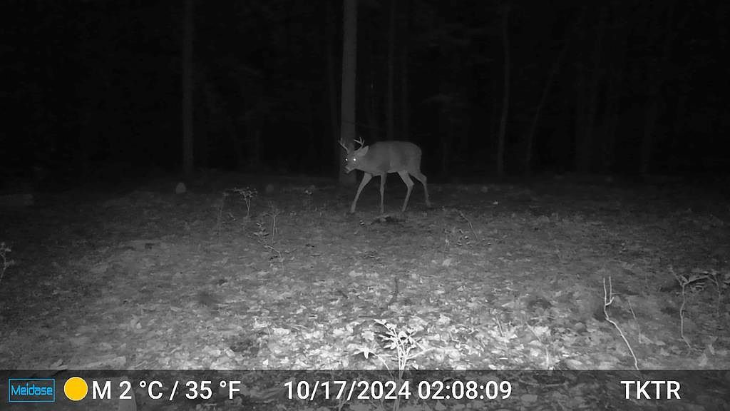 873 Burns Rd Venus, PA 16364 - Thumbnail 5