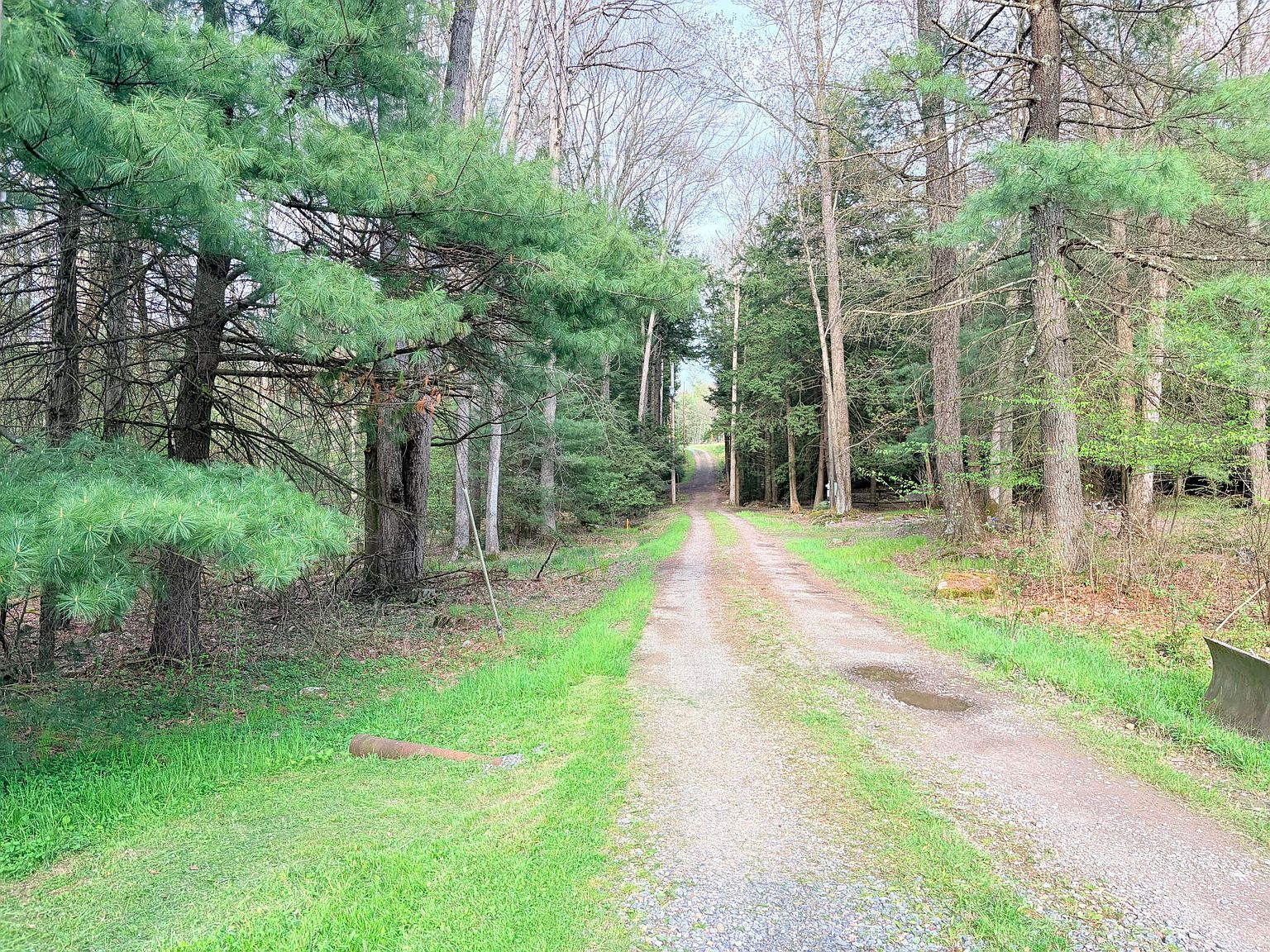 257 Dean Miller Ln Clarington, PA 15828 - Thumbnail 5
