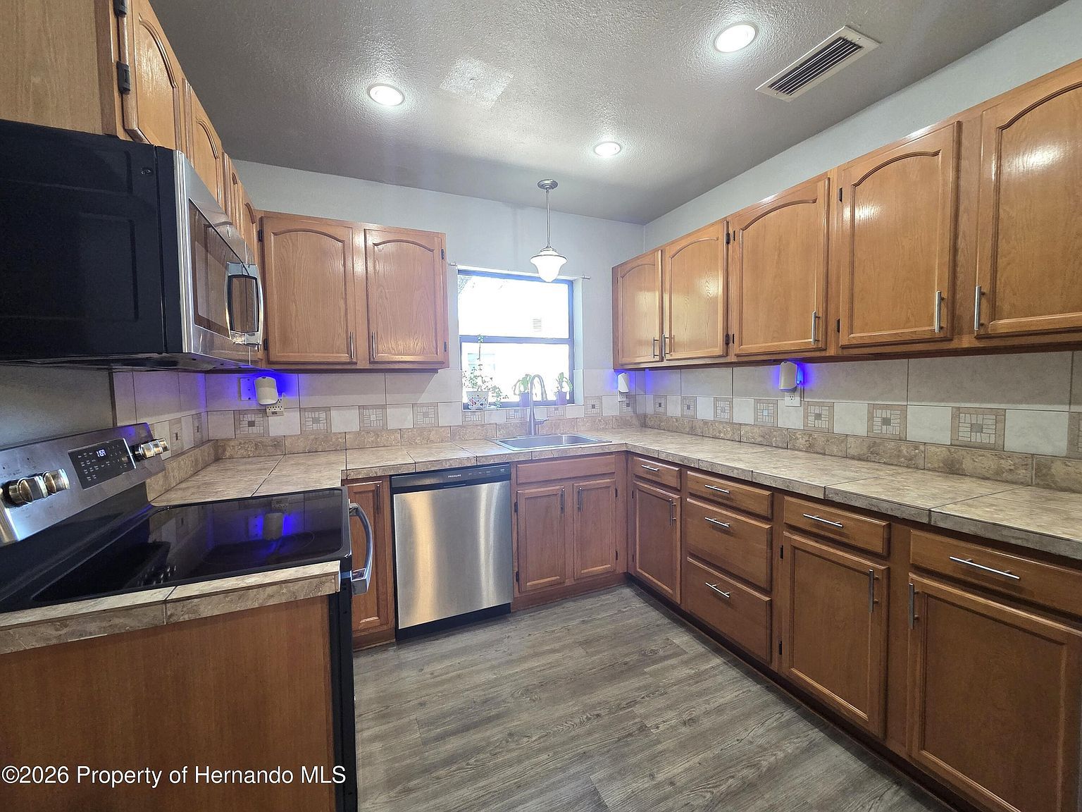 21390 Lehouier Dr Spring Hill, FL 34610 - Thumbnail 5