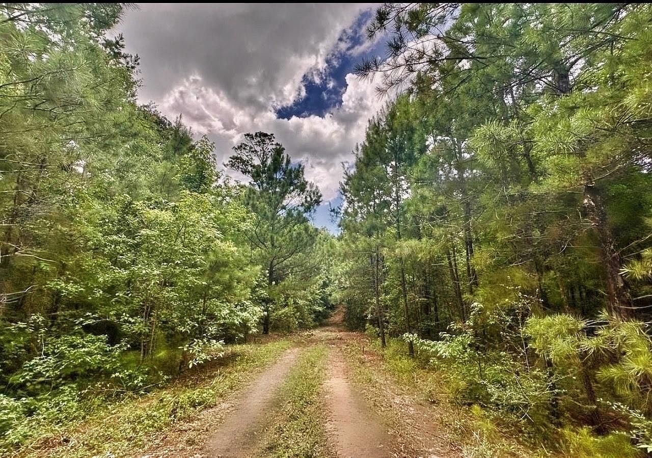 2370 Westville Rd Groveton, TX 75845 - Thumbnail 5