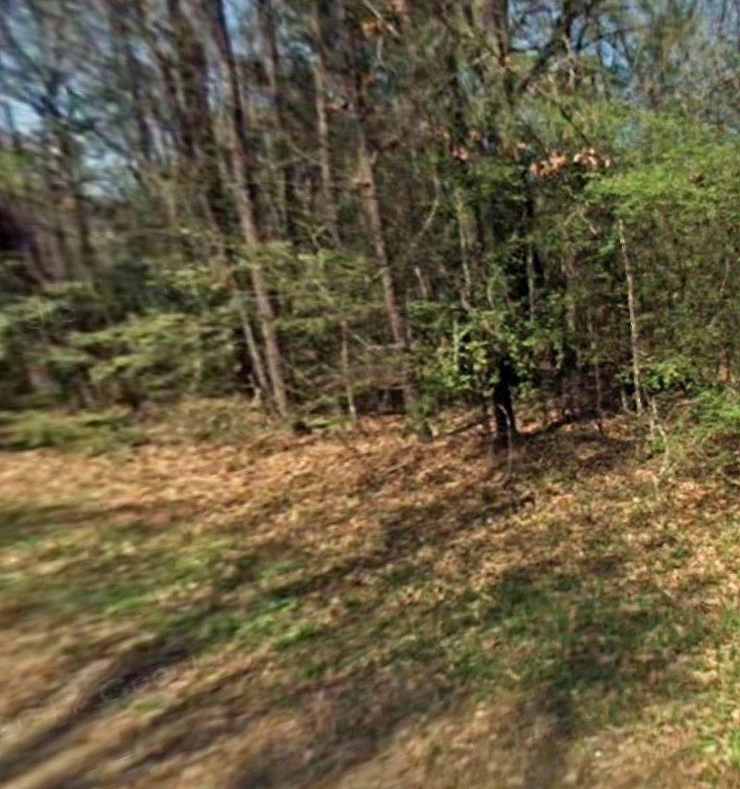 Tbd Lazy Oak Dr Livingston, TX 77351  | Land/Lot