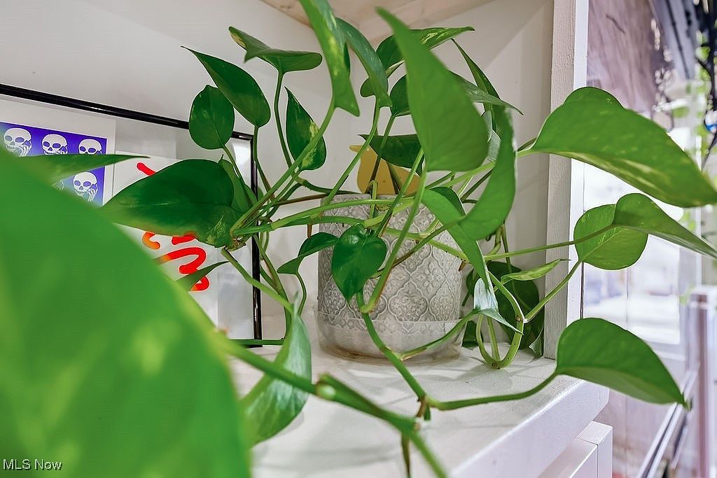 22711 Vera St Warrensville Heights, OH 44128 - Thumbnail 5