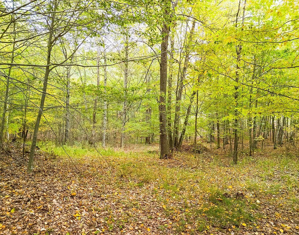 0 Buck Horn Court Rd Wellsboro, PA 16901 - Thumbnail 5