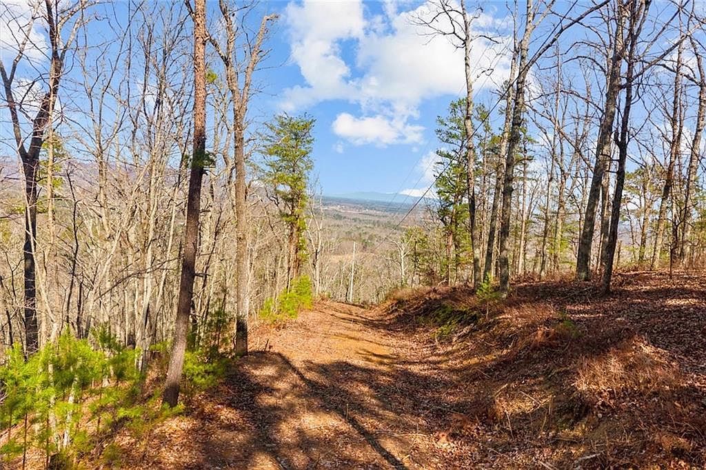 (undisclosed Address) Sugar Valley, GA 30746 - Thumbnail 5