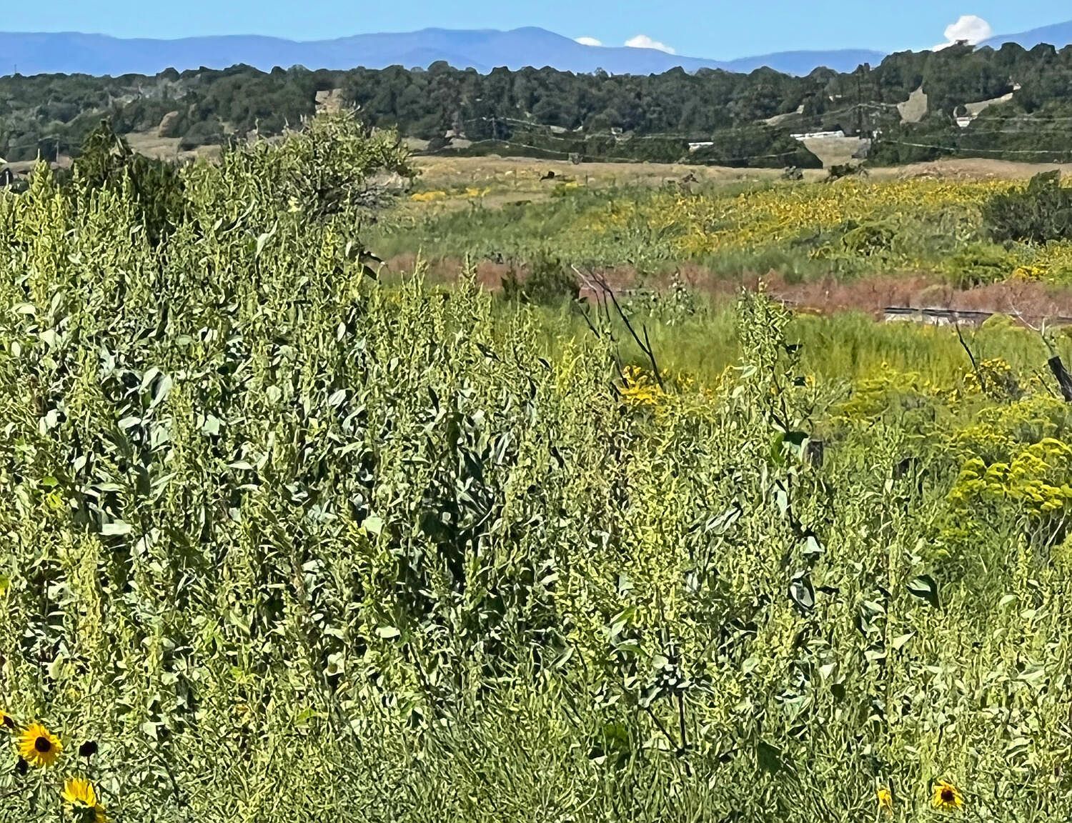 Highway 160 Tract #2 Walsenburg, CO 81089  | Land/Lot