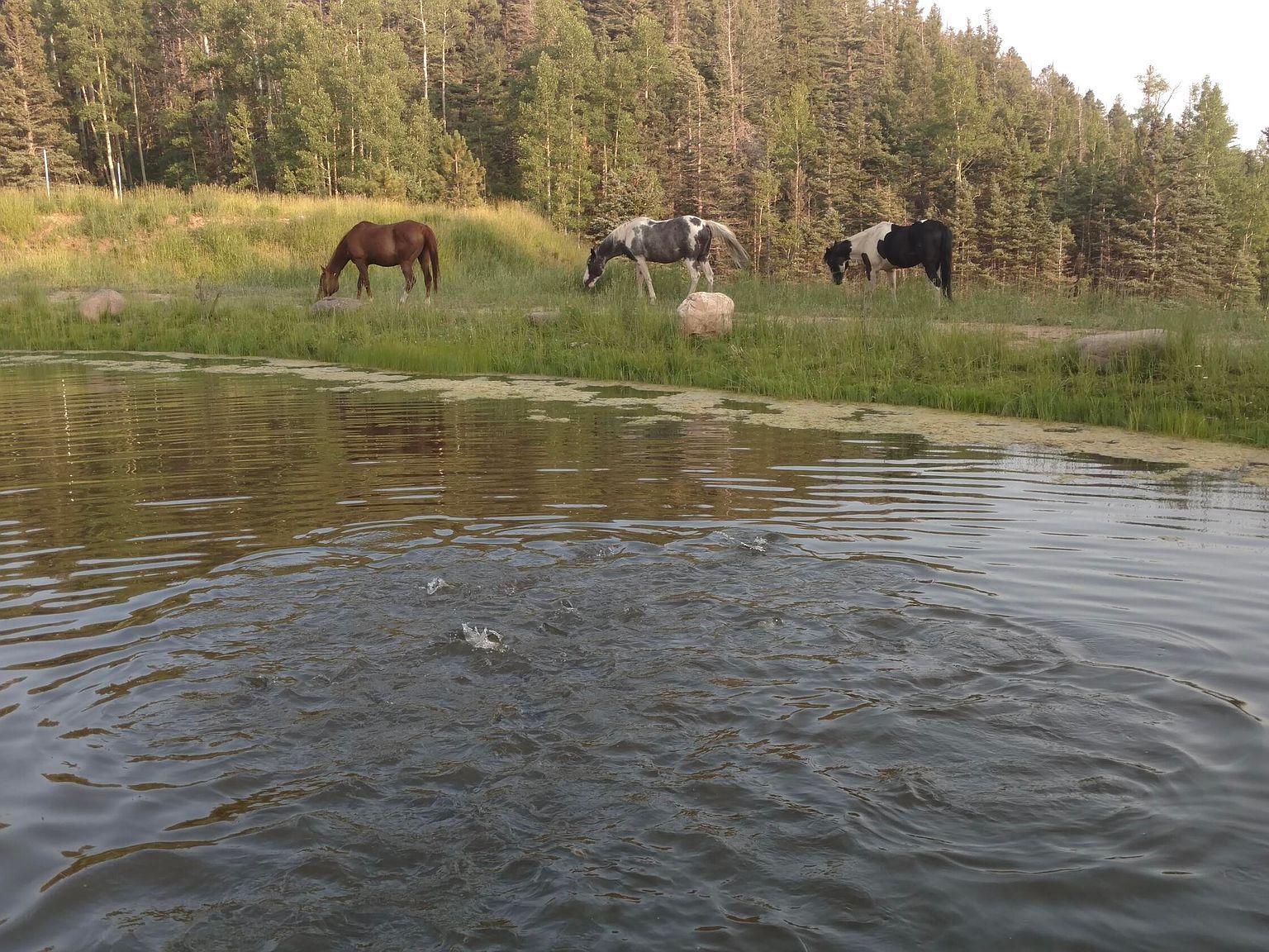 22001 Arch Ln Weston, CO 81091 - Thumbnail 5