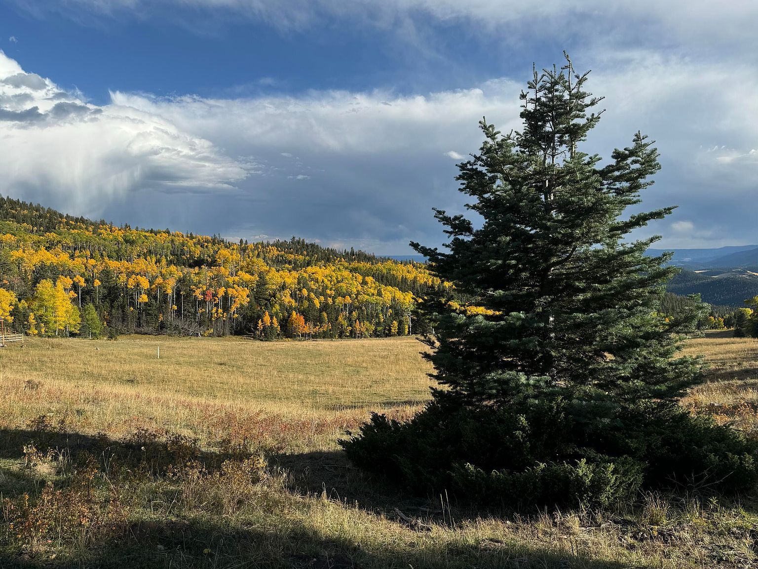 22222 Lillie Ln Weston, CO 81091 - Thumbnail 5