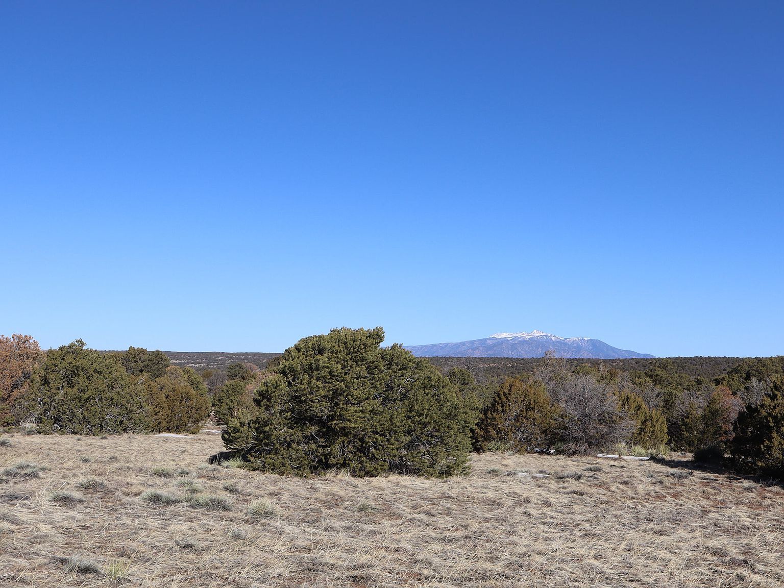 Buffalo Dr N LOT 115 Walsenburg, CO 81089 - Thumbnail 5