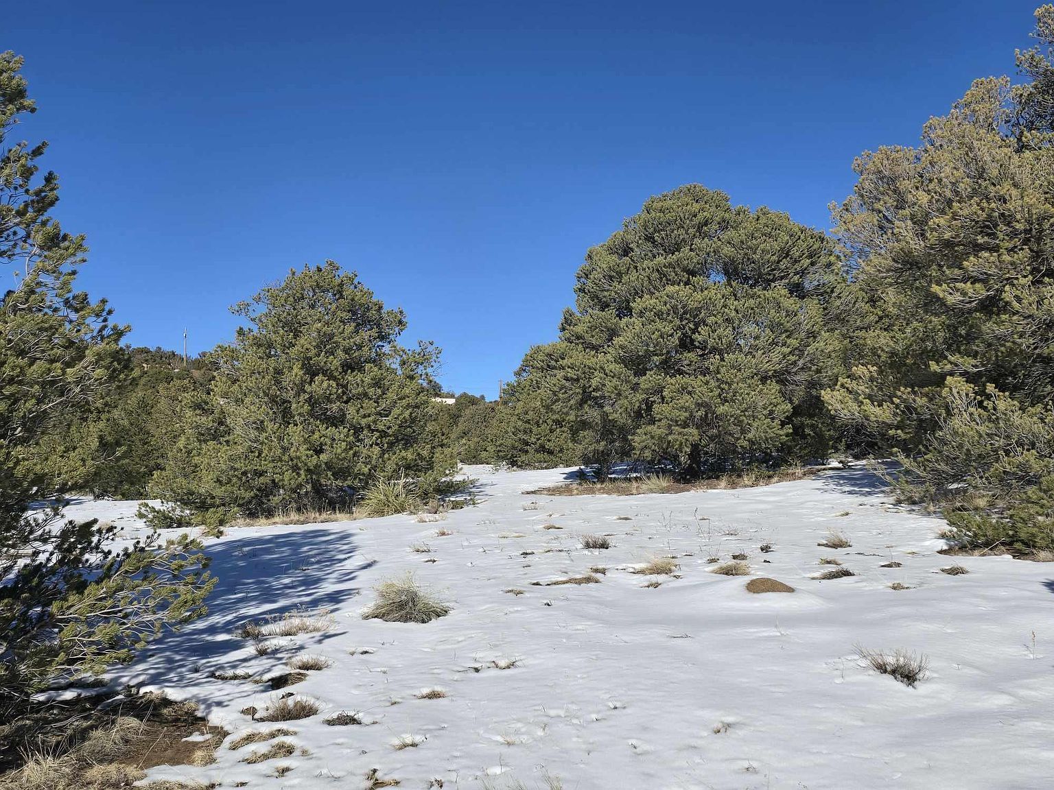 16 Navajo Rd Walsenburg, CO 81089 - Thumbnail 5