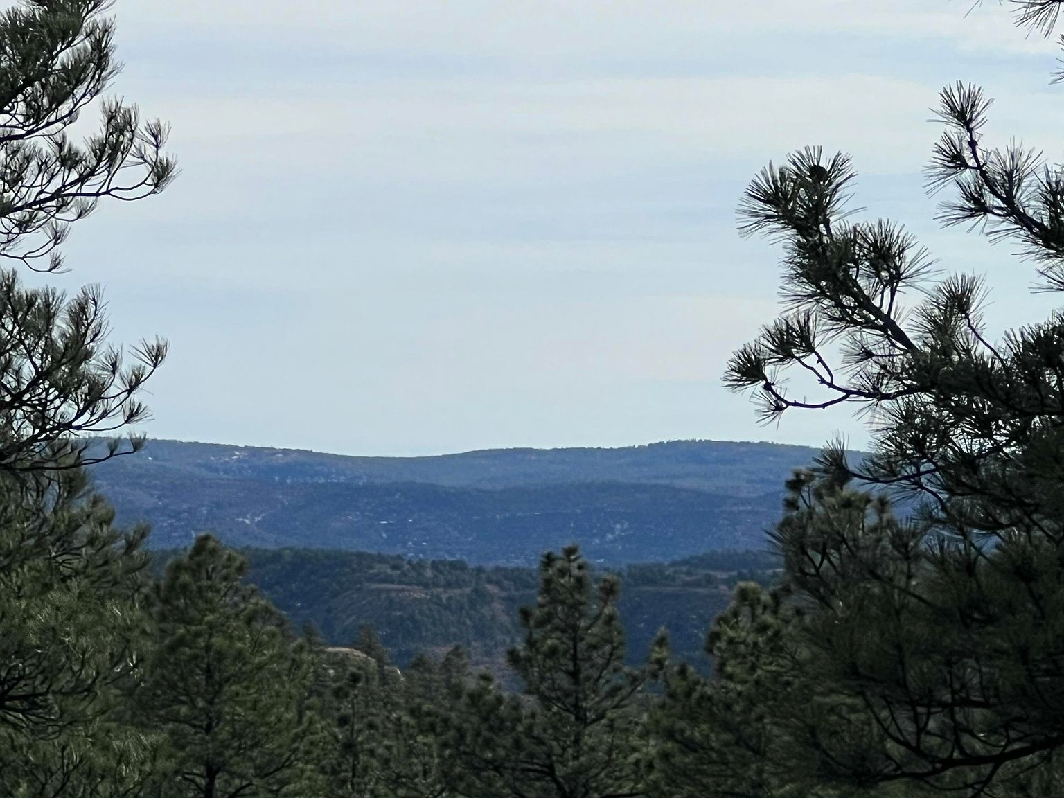 20127 Blue Jay Ln #114 Weston, CO 81091 - Thumbnail 5