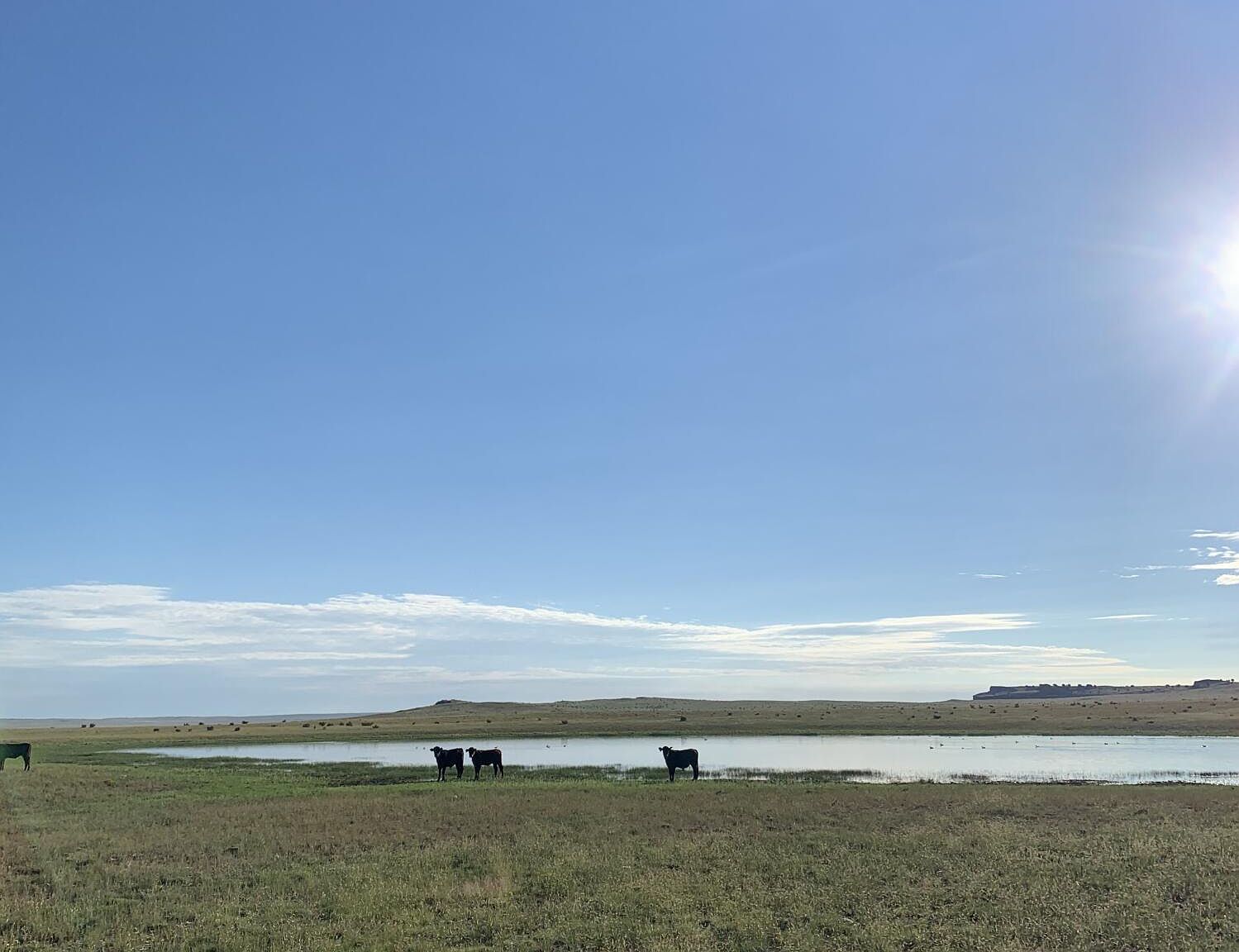 Cl&l Rnch UNIT F Walsenburg, CO 81089 - Thumbnail 5