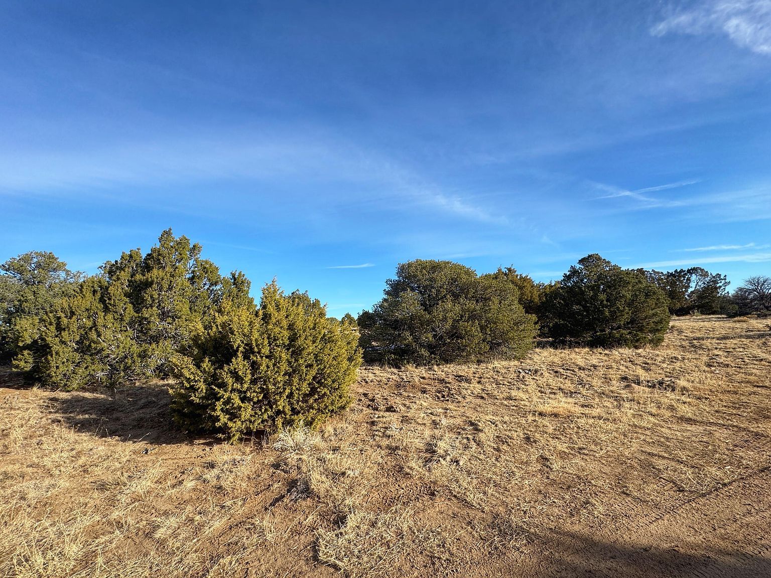 Rio Cucharas #2-333 Walsenburg, CO 81089 - Thumbnail 5