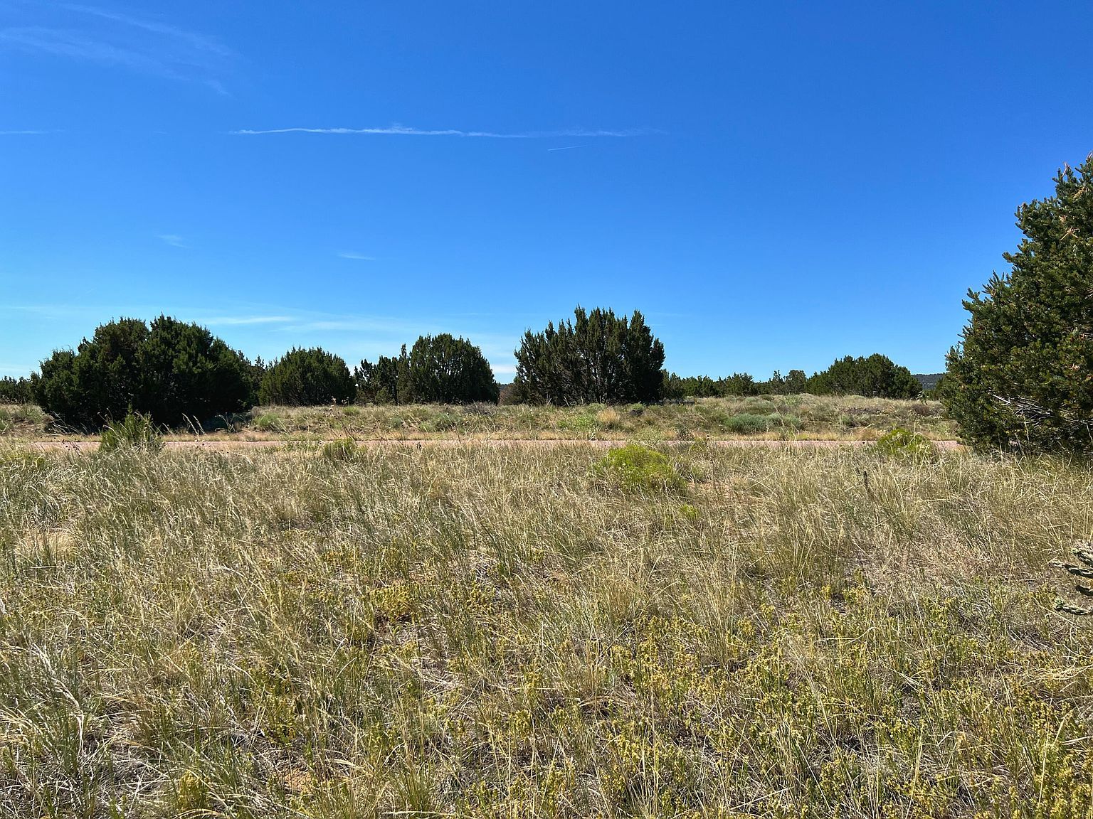 Black Walsenburg, CO 81089 - Thumbnail 5