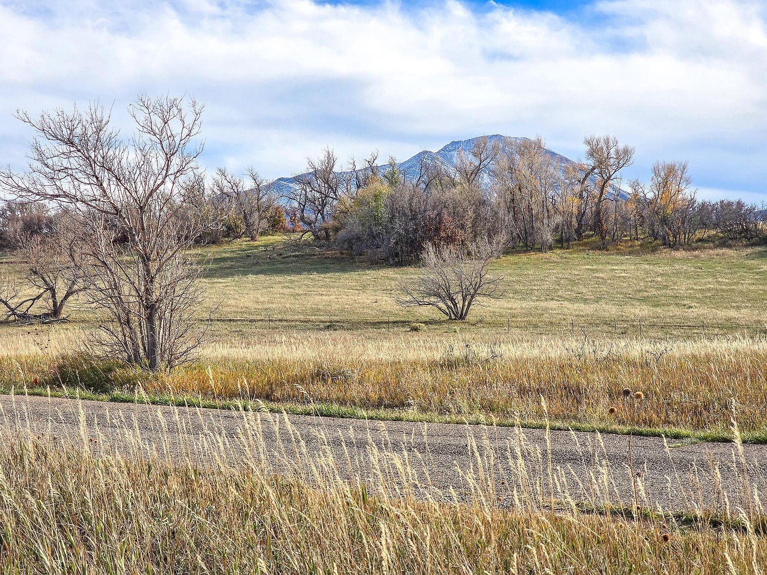 Grandote Golf & Country Clb #54 La Veta, CO 81055 - Thumbnail 5