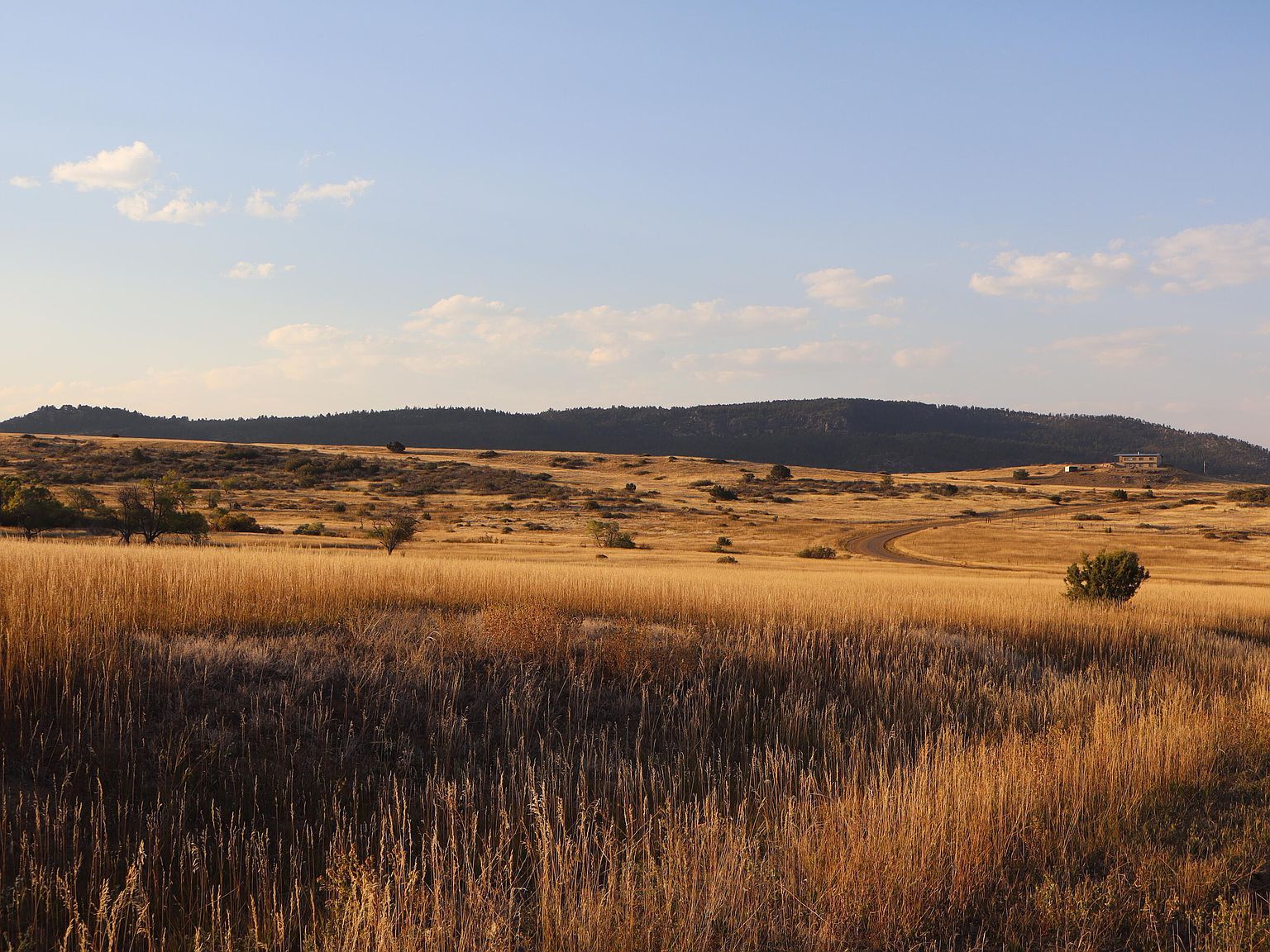 Lawrence Blvd LOT 222 Rye, CO 81069 - Thumbnail 5