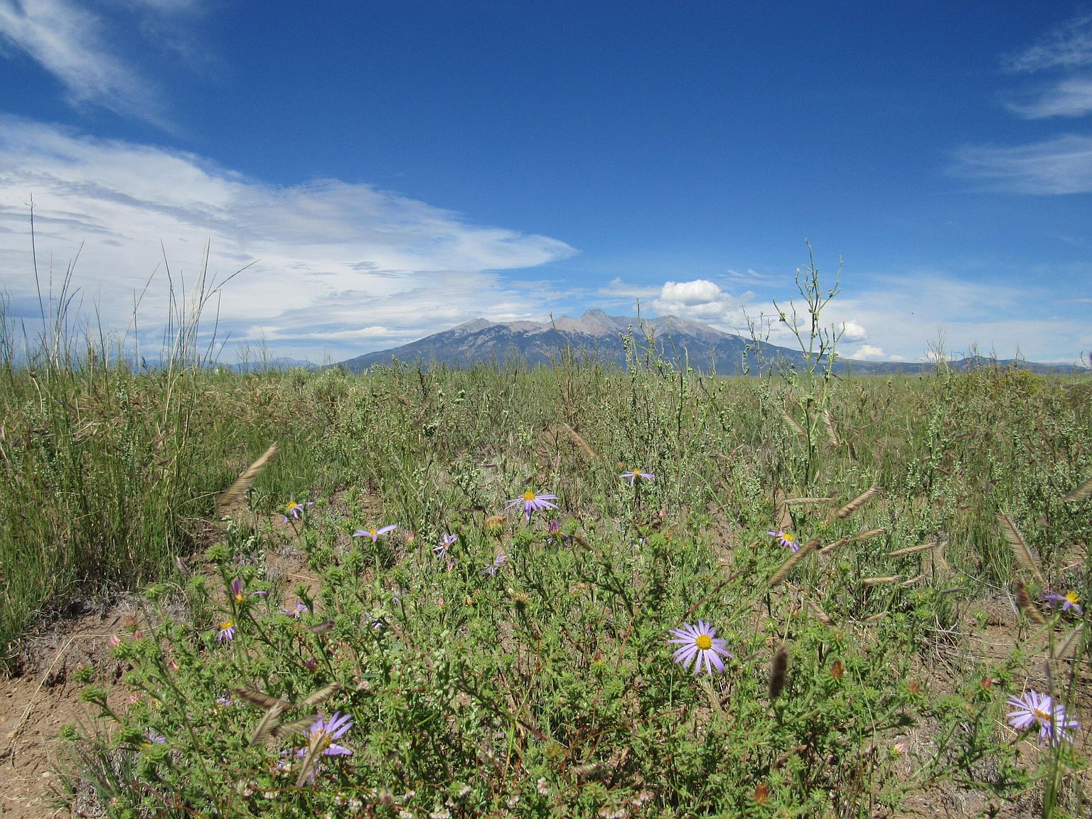 Cripple Creek Rd LOT 21 Blanca, CO 81123 - Thumbnail 5