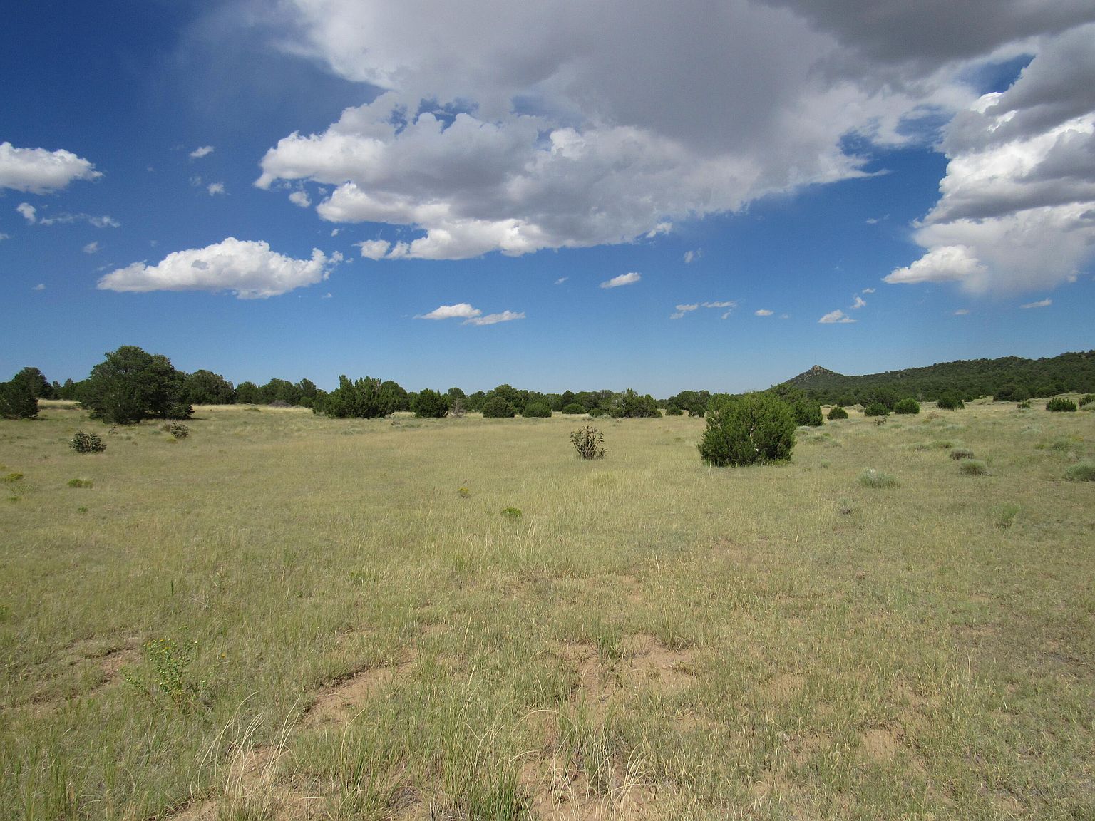 Greenhorn Vlg LOT 156-159 Walsenburg, CO 81089 - Thumbnail 5