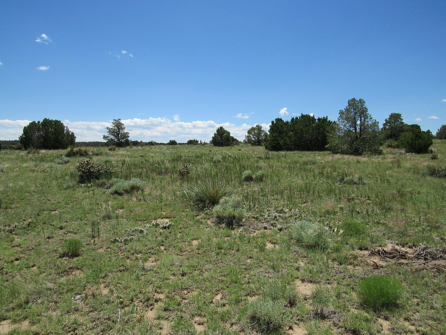 Huajatolla Blvd LOT 829 & 830 Walsenburg, CO 81089 - Thumbnail 5