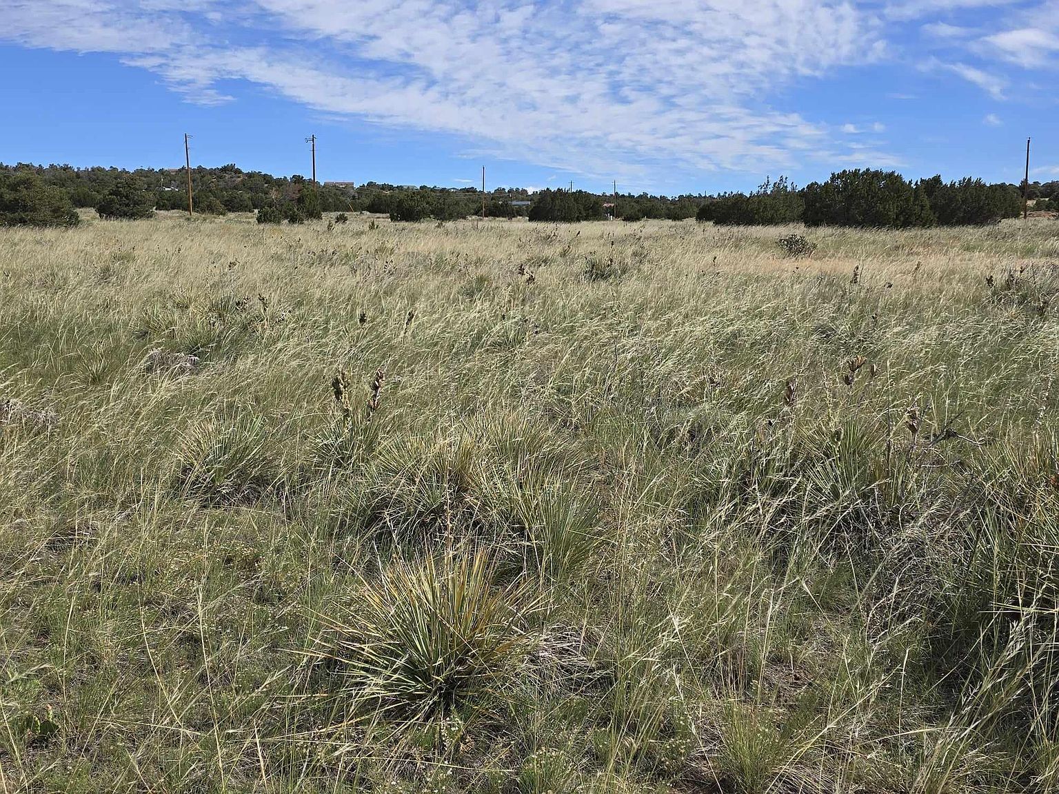 131 Navajo Ranch Resorts #2 Walsenburg, CO 81089 - Thumbnail 5