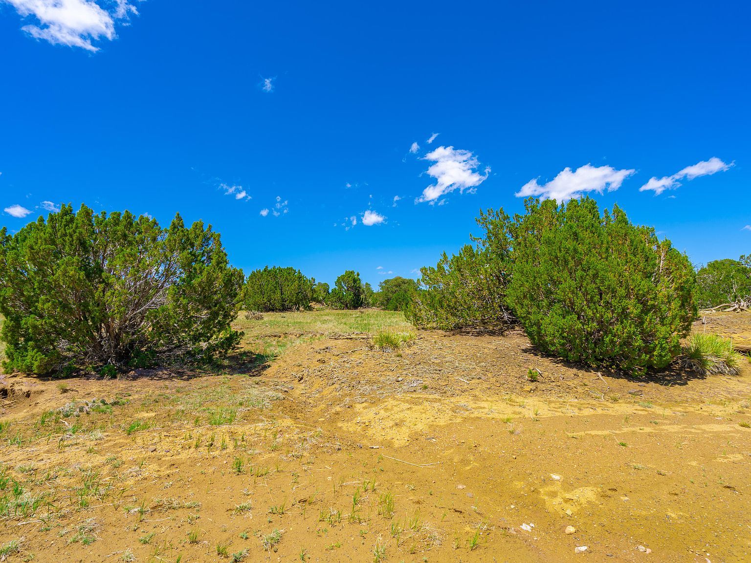 772 Rio Cucharas Chase #3 Walsenburg, CO 81089 - Thumbnail 5