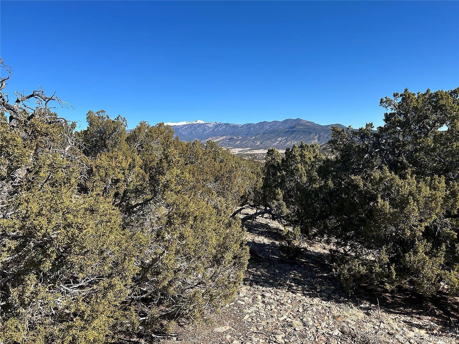 62 Cl&g #BB Gardner, CO 81040 - Thumbnail 5