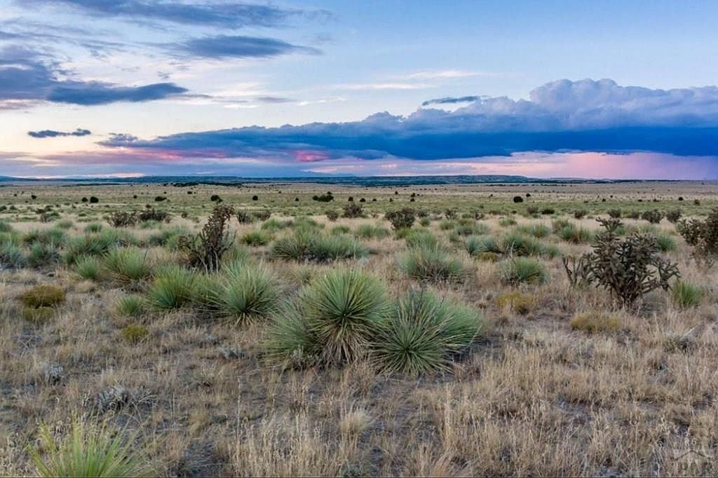 LOT 232 Turkey Ridge Rd Walsenburg, CO 81089 - Thumbnail 5