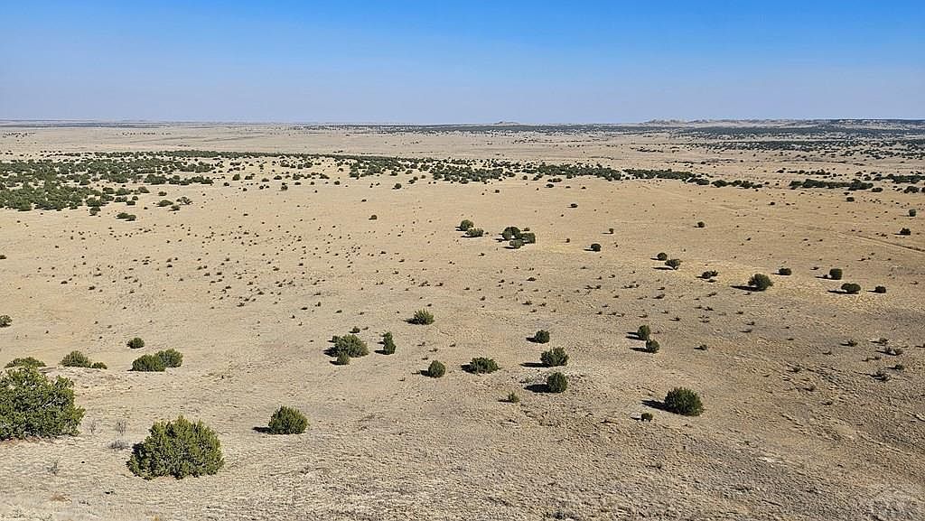 Las Animas Rnch Model, CO 81059 - Thumbnail 5