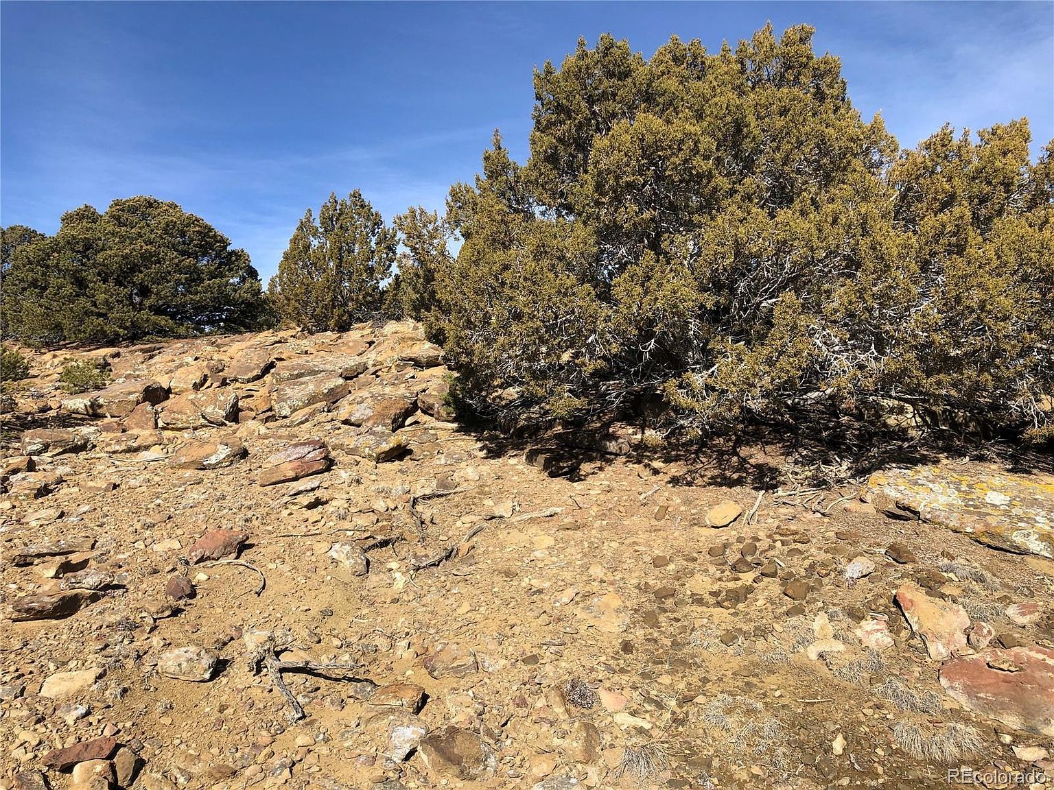 447 Rio Cucharas Pass #2 Walsenburg, CO 81089 - Thumbnail 5