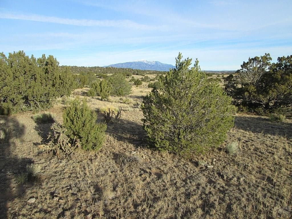 19 Rio Cucharas Walsenburg, CO 81089 - Thumbnail 5