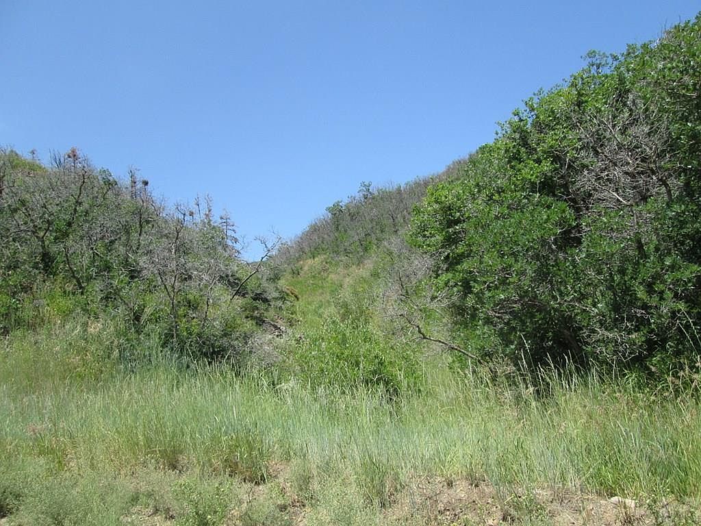 LOT 32 Raspberry Mountain Rnch La Veta, CO 81055 - Thumbnail 5