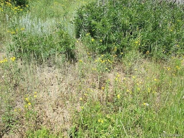 32 Raspberry Mountain Rnch La Veta, CO 81055 - Thumbnail 5