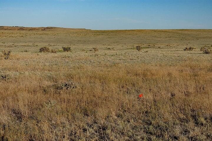 216 Cl&l #F Walsenburg, CO 81089 - Thumbnail 5