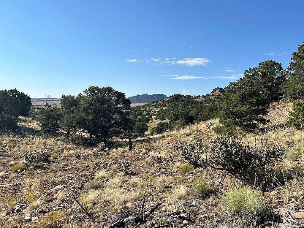 16 Badito Dr Walsenburg, CO 81089 - Thumbnail 5