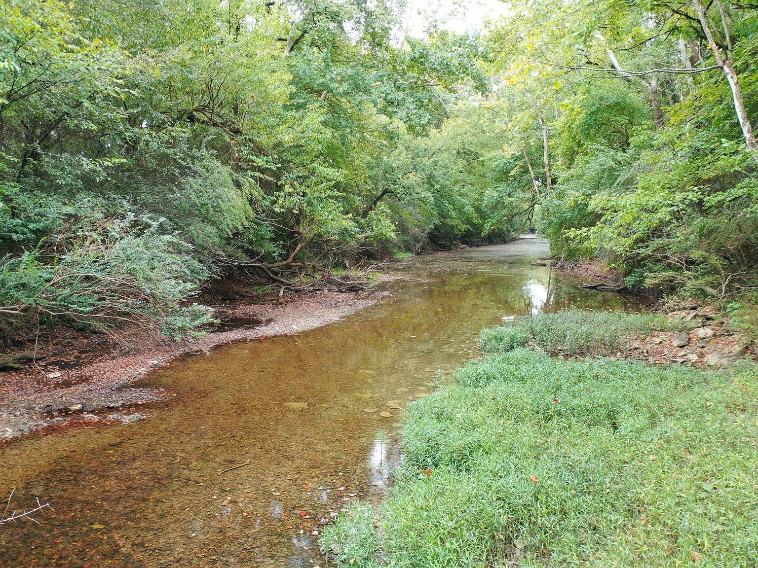 120 March Mill Rd Fayetteville, TN 37334 - Thumbnail 5