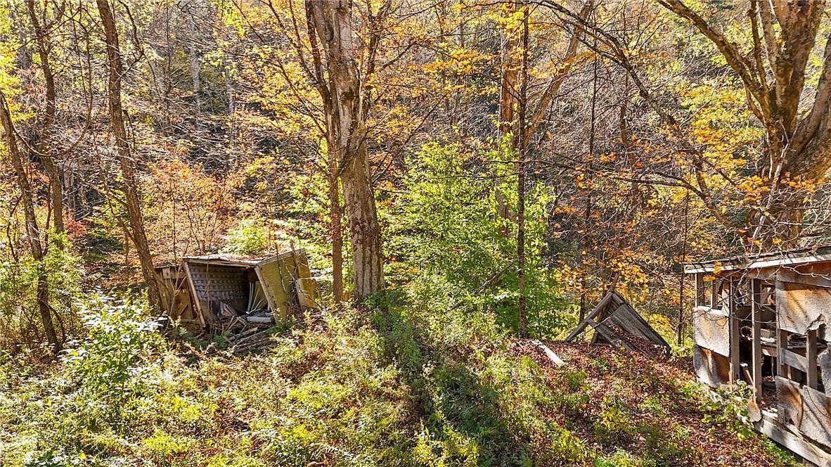 Deputron Hollow Rd #13 Brooktondale, NY 14817 - Thumbnail 5