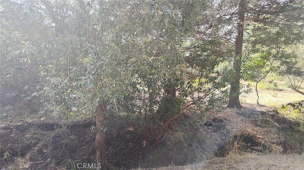 3236 Gleason St Cambria, CA 93428 - Thumbnail 5