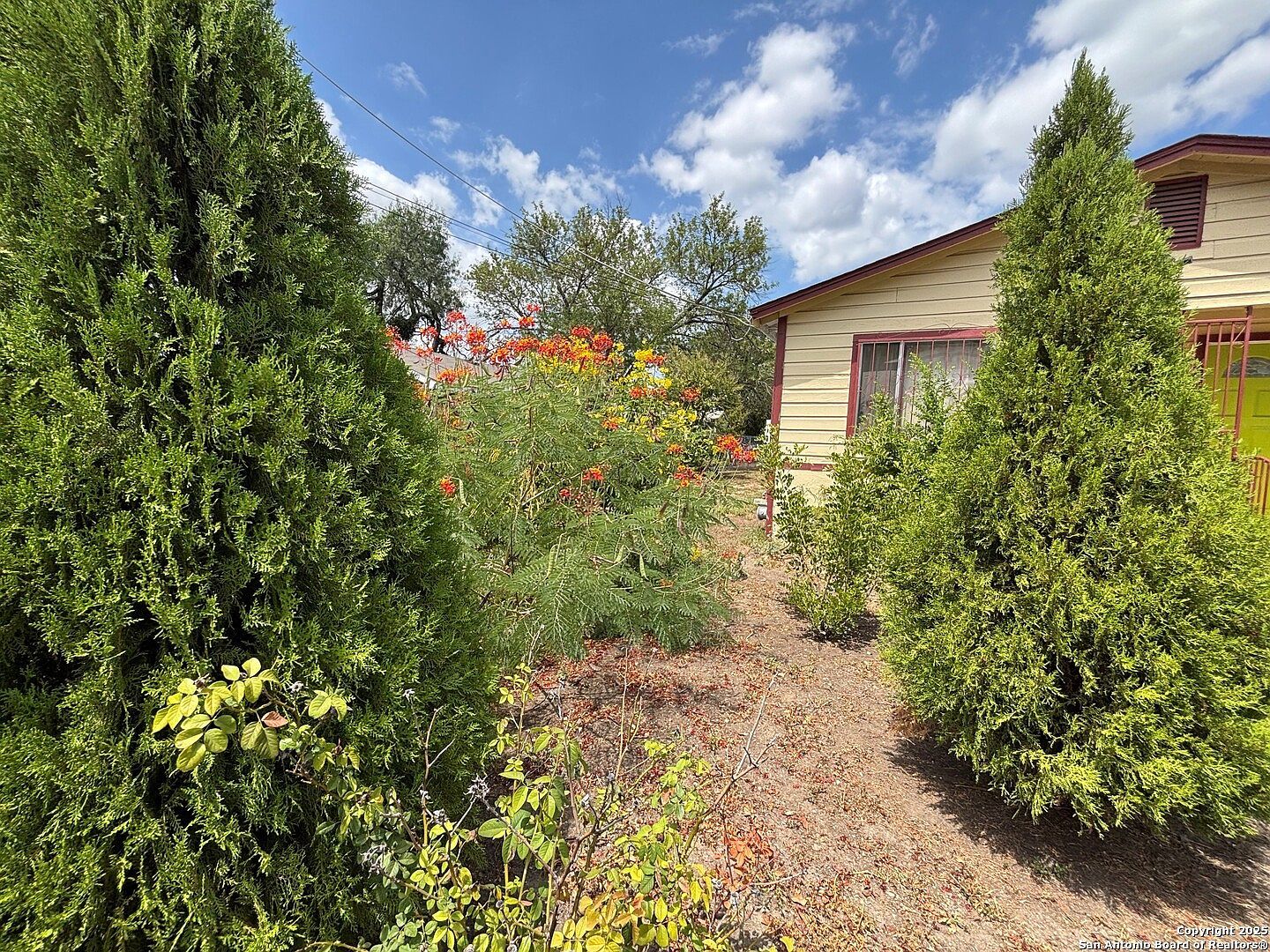 147 Wainwright St San Antonio, TX 78211 - Thumbnail 5