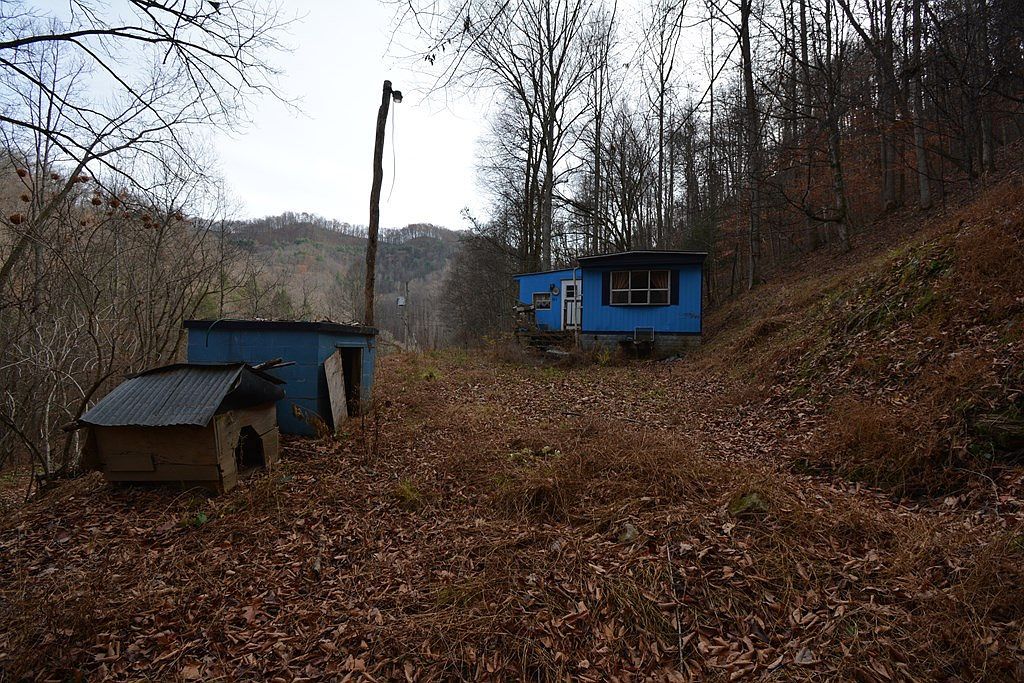 1067 Red Dog Rd Grundy, VA 24614 - Thumbnail 5