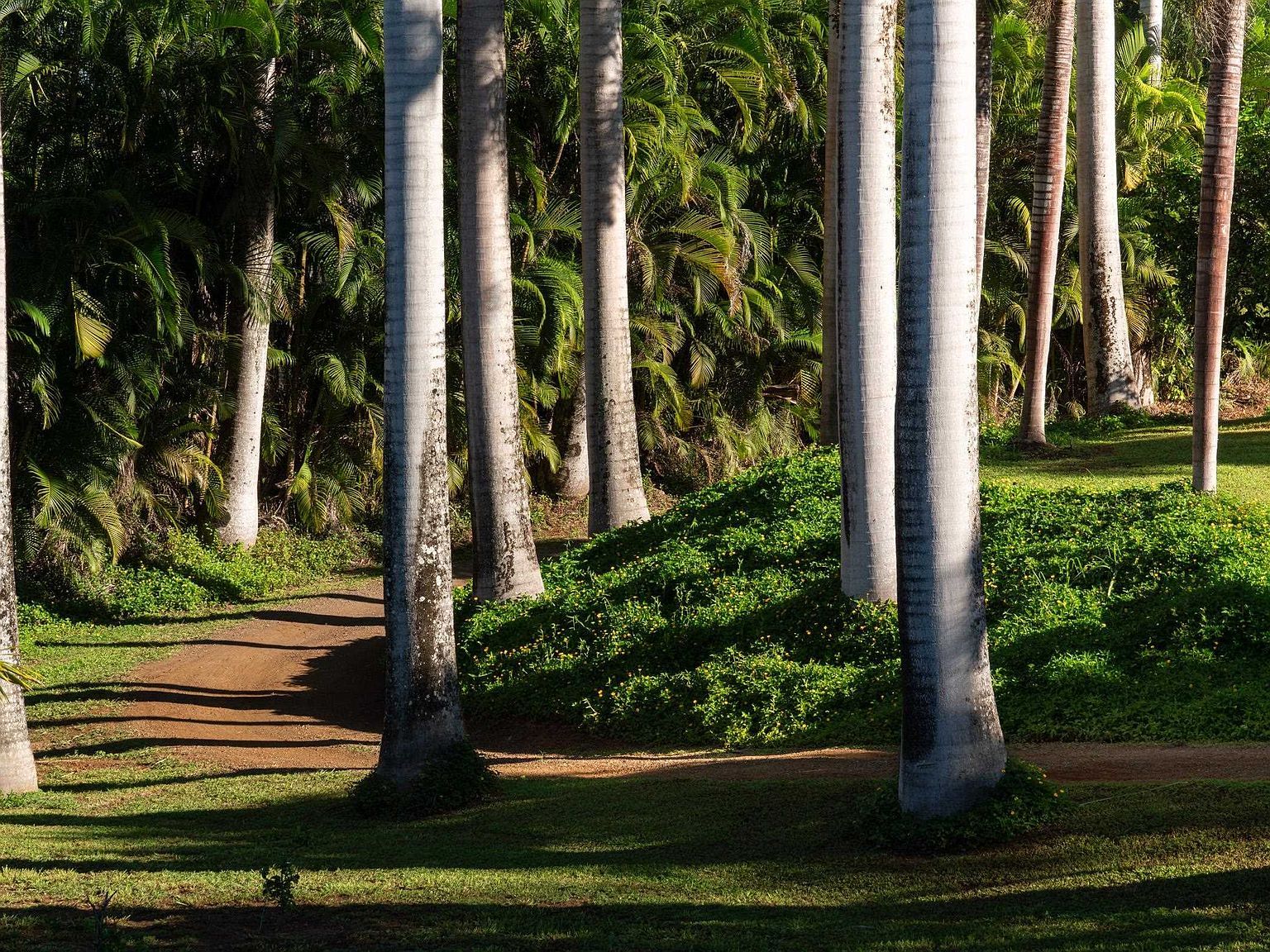 4509 Opana Pl Haiku, HI 96708 - Thumbnail 5