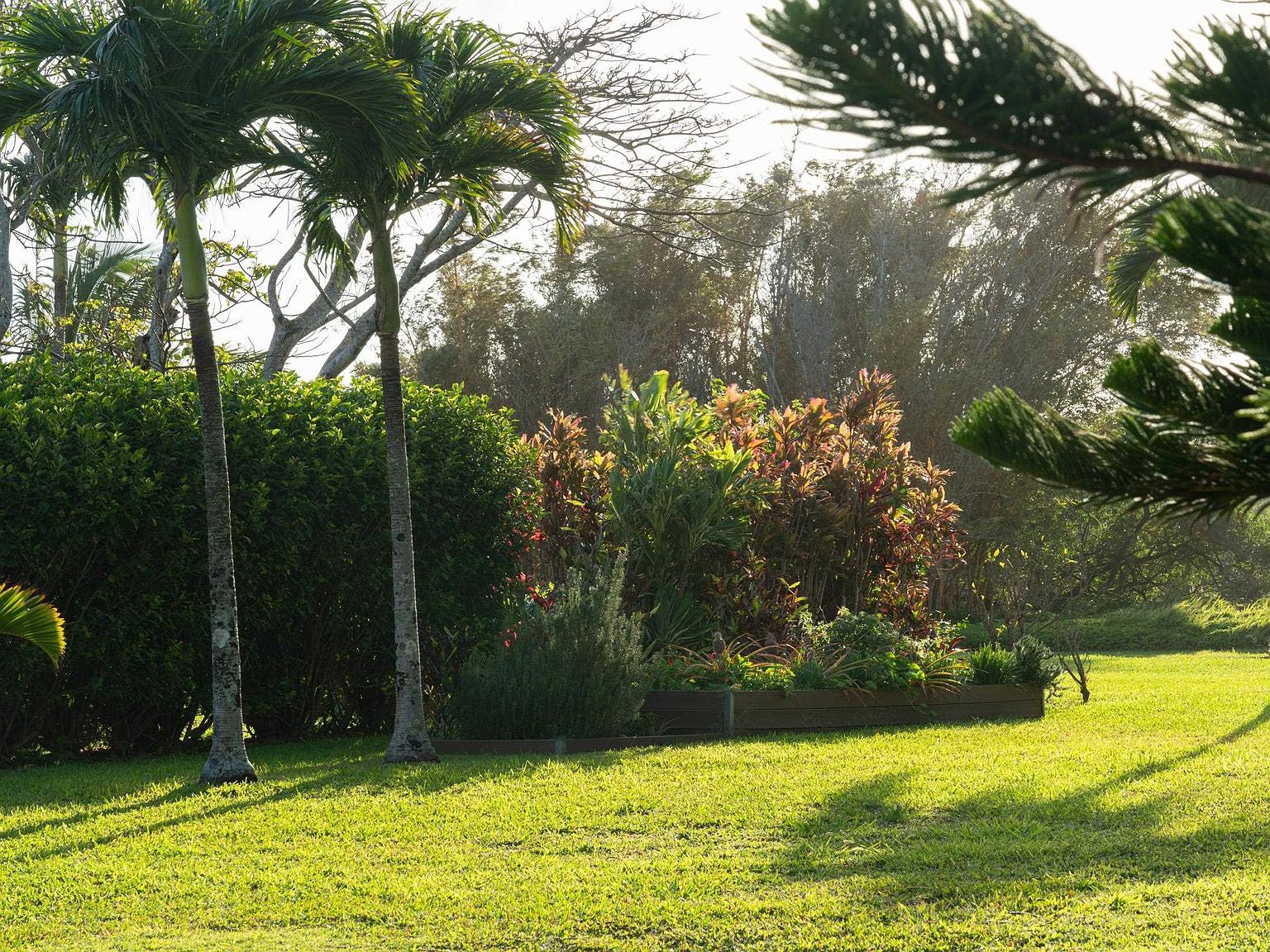 453 N Honokala Rd Haiku, HI 96708 - Thumbnail 5