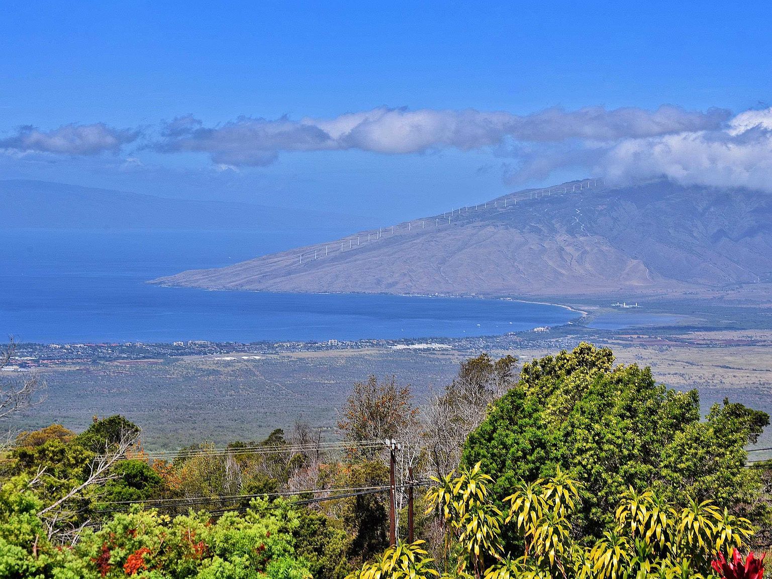 16 Kekaulike Ave Kula, HI 96790 - Thumbnail 5