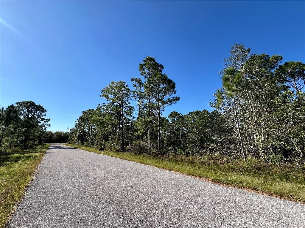 541 Embracer St NW #39 Lake Placid, FL 33852 - Thumbnail 5