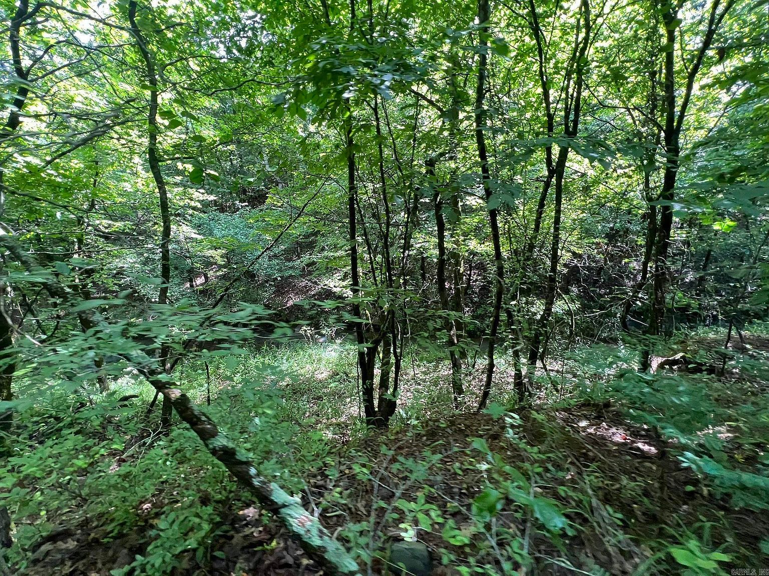 Unk Fs Rd #521 Mena, AR 71953 - Thumbnail 5