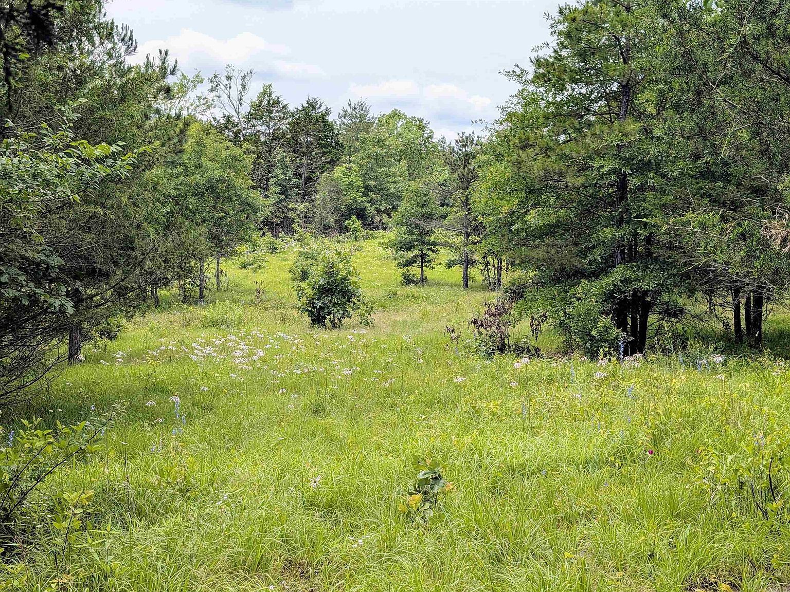 533 Caney Creek Loop Smithville, OK 74957 - Thumbnail 5