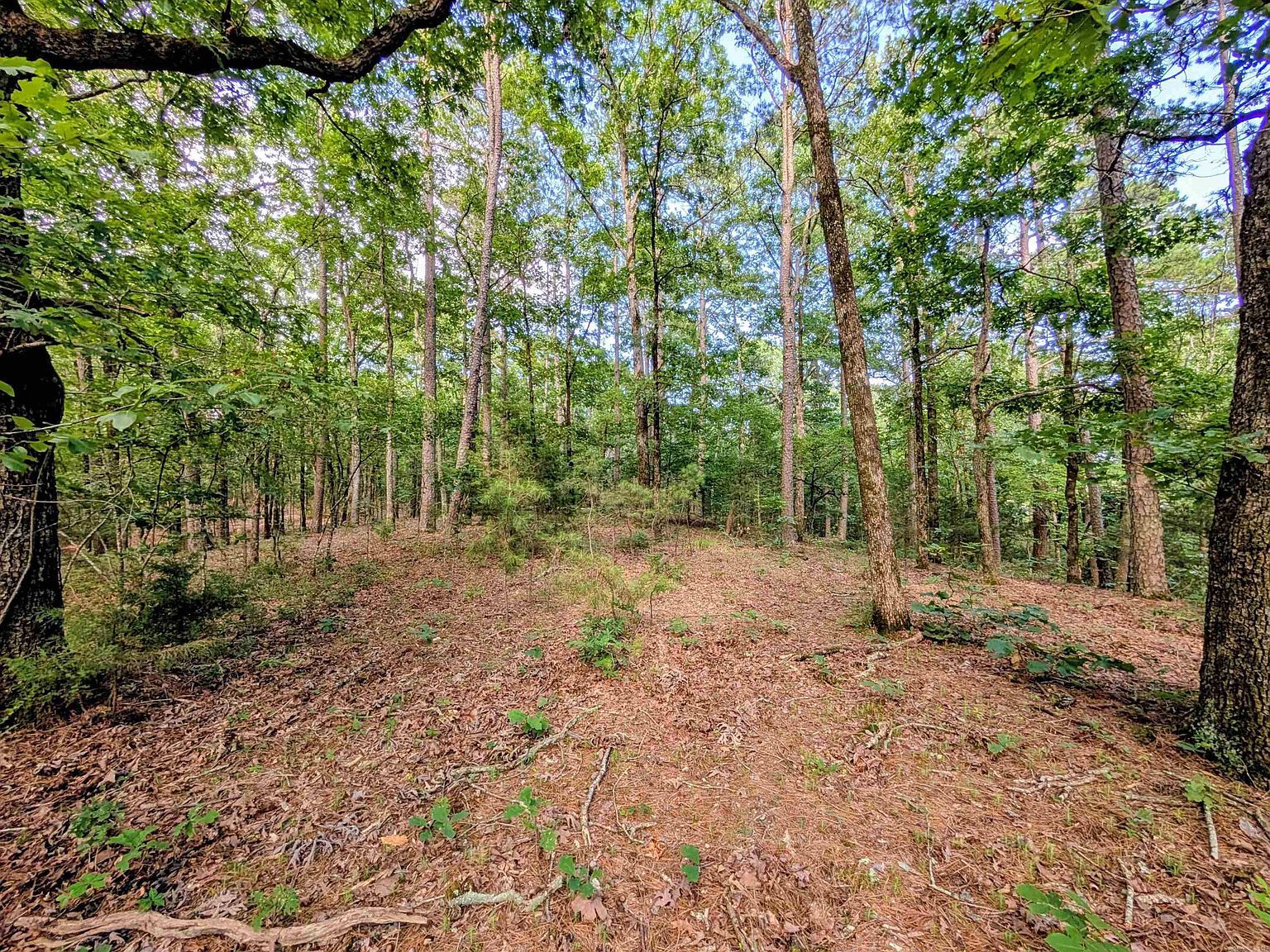 198 Cathedral Pines Ln Mena, AR 71953 - Thumbnail 5