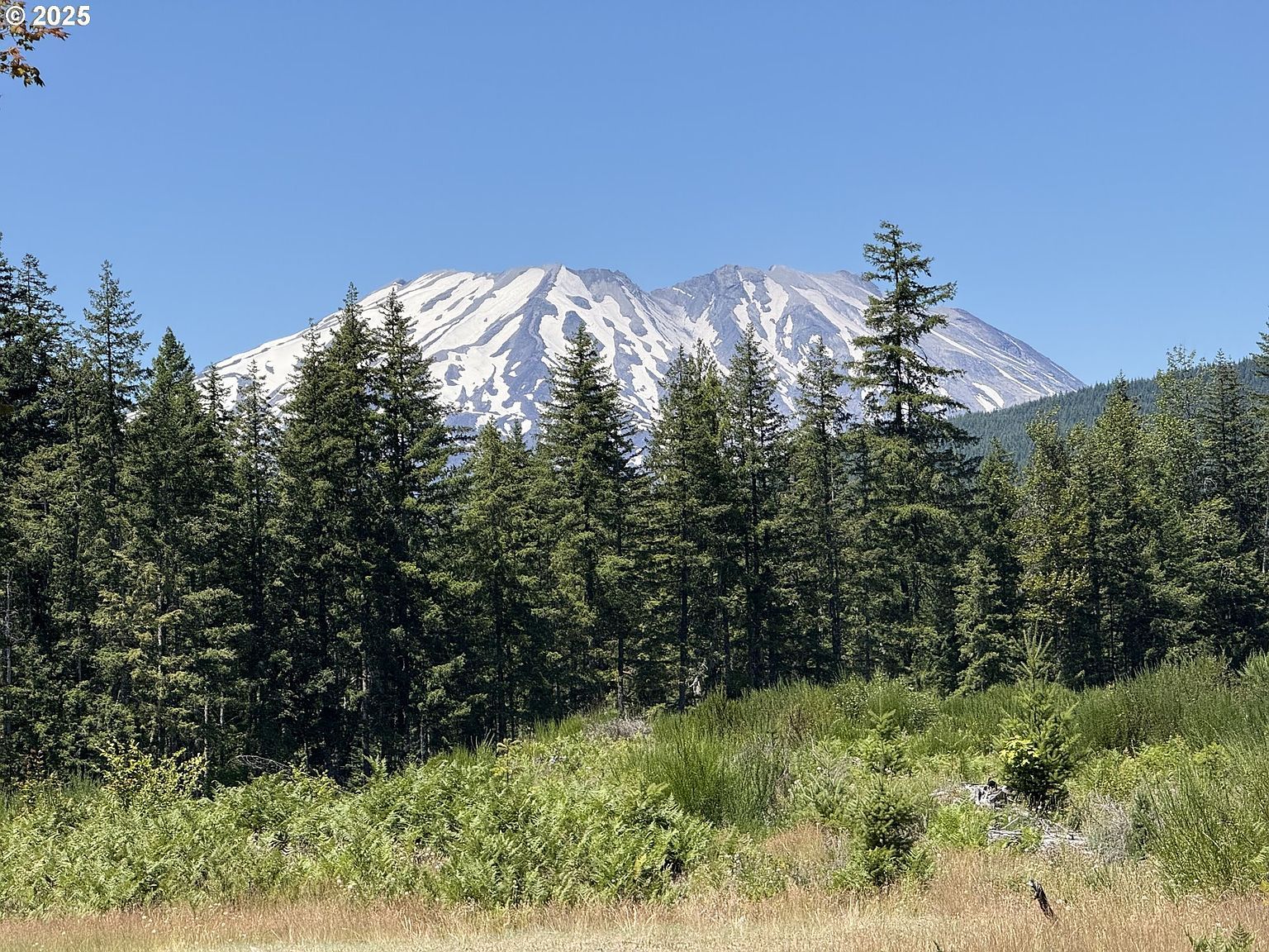 Lahar Ln #9 Cougar, WA 98616 - Thumbnail 5